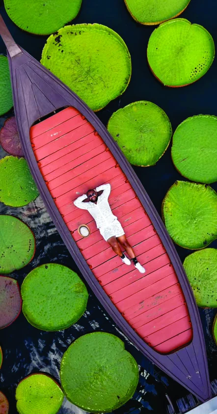 Aerial view of WakaWaka Doctor lying in a red boat among giant lily pads